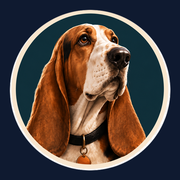 Bassethound 图标
